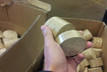 falach-100-briquettes-e1620290520292_c_01